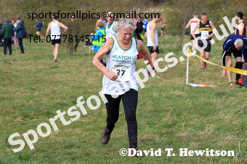 Womens and Mens 65+ in the 2023 BMAF Cross Country Champs., Wallsend. Photo: David T. Hewitson/Sports for All Pics